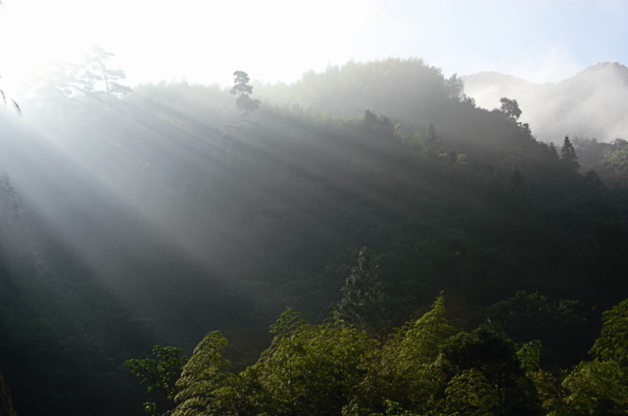 一天分万态，立地看忘回