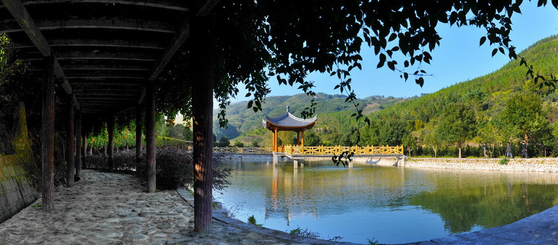 书峰名贵植物园